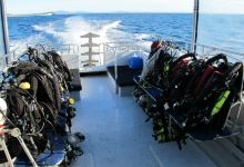 Forster Dive Centre购物图片
