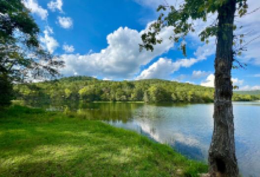 Lake Leatherwood景点图片