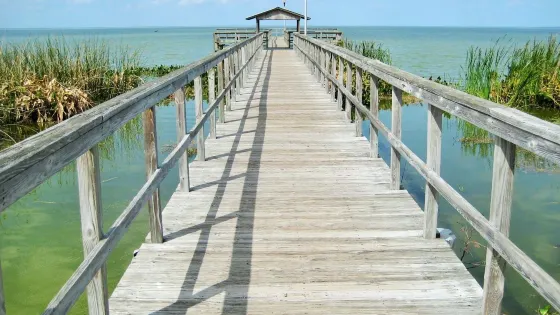 Lake Apopka