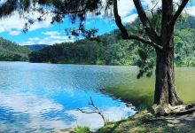 Tallowa Dam景点图片