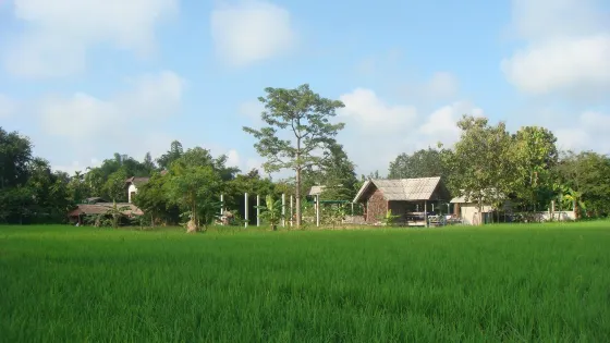 Da’s Organic Farm Hut Thai Cooking School