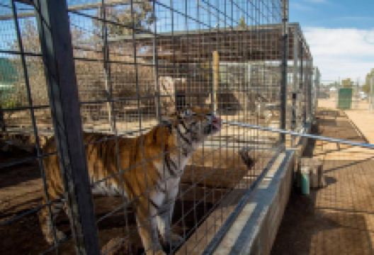 Forever Wild Exotic Animal Sanctuary景点图片