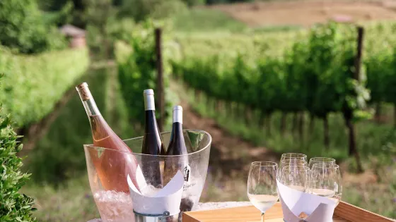 Quinta de Sant'Ana