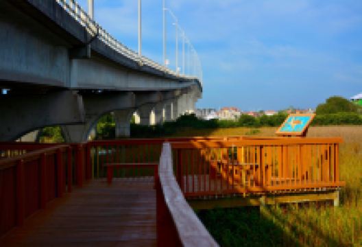 Vilano Beach Nature Boardwalk景点图片