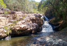 Parque Estadual Mata do Limoeiro景点图片