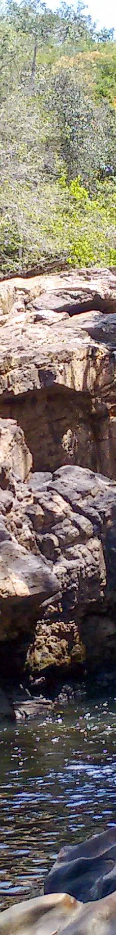 Parque Estadual Mata do Limoeiro-伊塔比拉