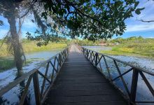 Parque Municipal klaus Peters景点图片
