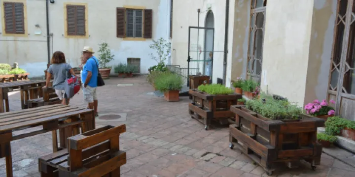 考古學博物館和聖菲納藥房