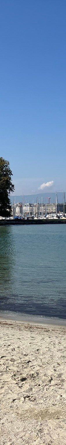 宝贝沙滩-日内瓦