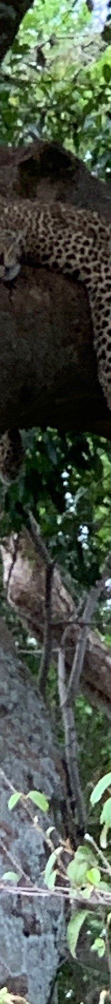 Adventure Africa Expedition-内罗毕