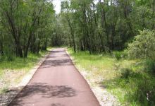 Tuart Walk景点图片