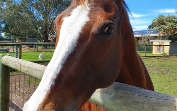 Rain, Hayne and Shine Farmyard