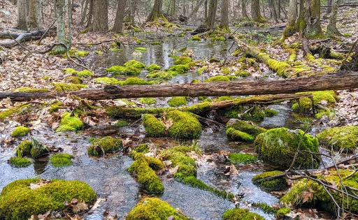 Wooster Mountain State Park Scenic Reserve