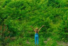 Floresta biO2景点图片