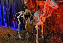 Wood Creek Hollow Farms景点图片