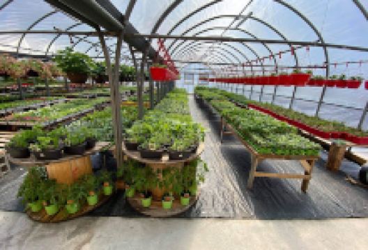 Lessard Centre Jardin购物图片