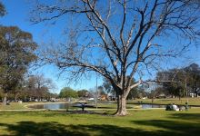 Macquarie Park景点图片