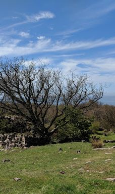 Opal Lake-伯恩霍尔姆