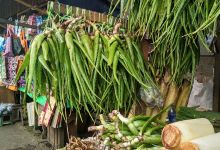 Hledan Market购物图片