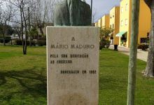 Busto de Mário Maduro景点图片