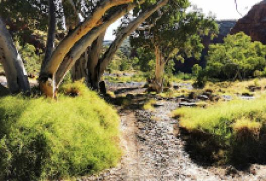 Ruby Gap Nature Park景点图片
