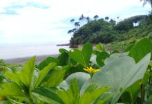 Bumi Perkemahan Cikabuyutan景点图片