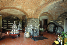 Frantoio Olive F.lli Morro景点图片