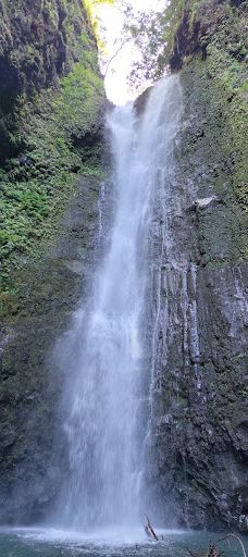 Ko'olau Forest Reserve-茂宜县