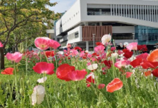Gate of Cyrus景点图片