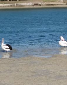 Tweed Holiday Parks Pottsville South-堤维德岬