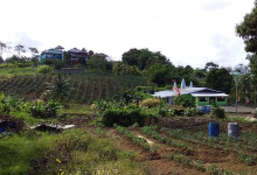 Tortuga Shiva Mandir景点图片