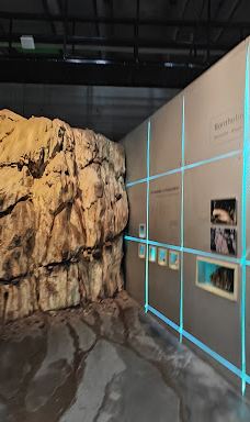 Naturbornholm-阿克尔科拜