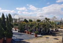 Garden Depot Kft.购物图片