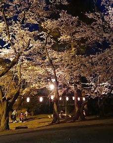 十和田市中央公园-十和田市