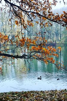 Stadt Park-开姆尼茨