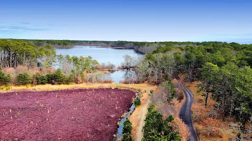 Bell's Neck Conservation Lands