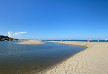 Dog Beach景点图片
