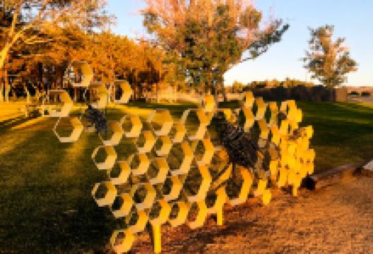 Cerro Coso Sculpture garden/park景点图片