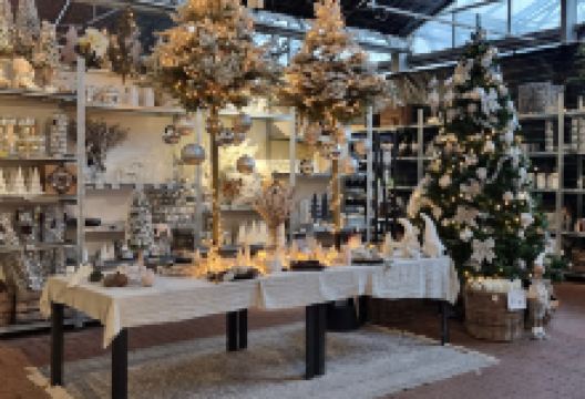 Plantorama购物图片