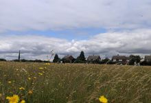 Duxford Park景点图片