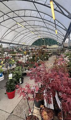 Twin Locks Garden Centre Ltd-加格雷夫