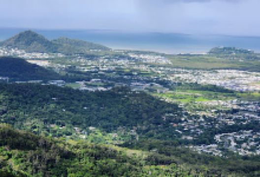 Brinsmead Park Reserve景点图片