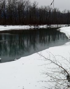 奇尔卡特河-海恩斯自治市镇