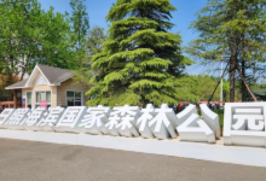 日照海滨国家森林公园景点图片