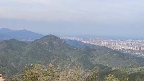 栲栳尖