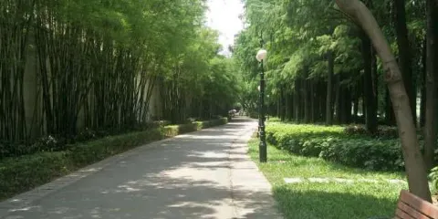 洪湖公園