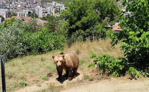 Zoo Blagoevgrad