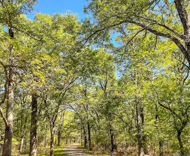 Ardmore Regional Park