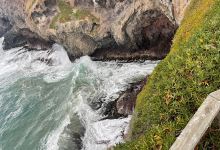 Taiaroa Viewing Platform景点图片