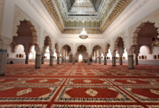 Mosquée Bades景点图片